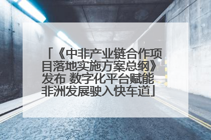 《中非产业链合作项目落地实施方案总纲》发布 数字化平台赋能非洲发展驶入快车道