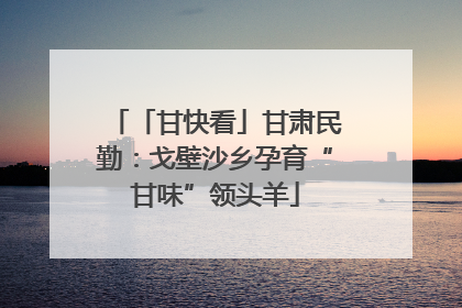 「甘快看」甘肃民勤：戈壁沙乡孕育“甘味”领头羊