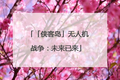 「侠客岛」无人机战争：未来已来