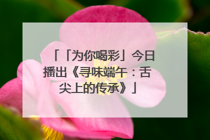 「为你喝彩」今日播出《寻味端午：舌尖上的传承》