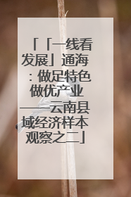 「一线看发展」通海：做足特色 做优产业——云南县域经济样本观察之二