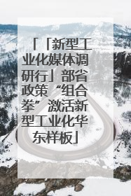 「新型工业化媒体调研行」部省政策“组合拳”激活新型工业化华东样板