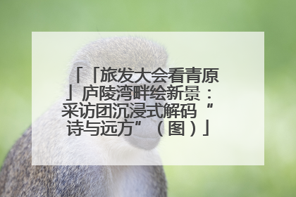 「旅发大会看青原」庐陵湾畔绘新景：采访团沉浸式解码“诗与远方”（图）
