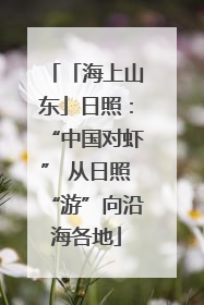 「海上山东」日照：“中国对虾” 从日照“游”向沿海各地