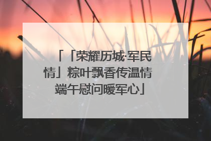 「荣耀历城·军民情」粽叶飘香传温情 端午慰问暖军心
