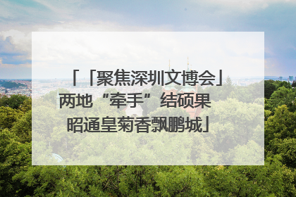 「聚焦深圳文博会」两地“牵手”结硕果 昭通皇菊香飘鹏城