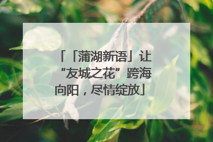 「蒲湖新语」让“友城之花”跨海向阳，尽情绽放