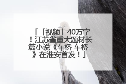 「视频」40万字！江苏省重大题材长篇小说《车桥 车桥》在淮安首发！