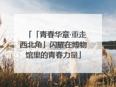 「青春华章·重走西北角」闪耀在博物馆里的青春力量
