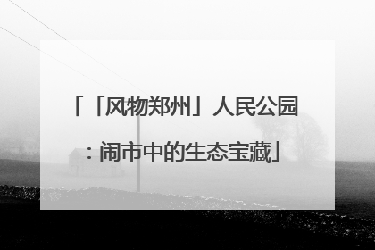 「风物郑州」人民公园：闹市中的生态宝藏
