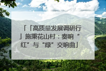 「高质量发展调研行」施秉花山村：奏响“红”与“绿”交响曲