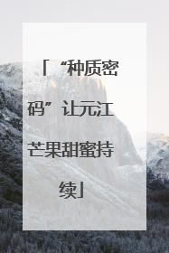 “种质密码”让元江芒果甜蜜持续
