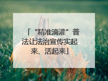 “精准滴灌”普法让法治宣传实起来、活起来