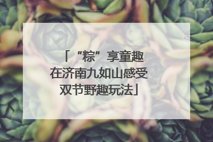 “粽”享童趣 在济南九如山感受双节野趣玩法