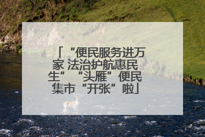 “便民服务进万家 法治护航惠民生”“头雁”便民集市“开张”啦