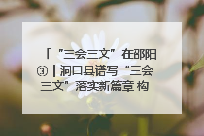 “三会三文”在邵阳③｜洞口县谱写“三会三文”落实新篇章 构建协同联动大格局