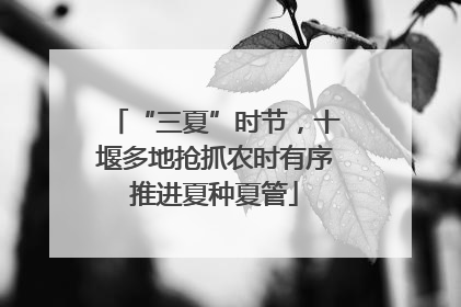 “三夏”时节，十堰多地抢抓农时有序推进夏种夏管