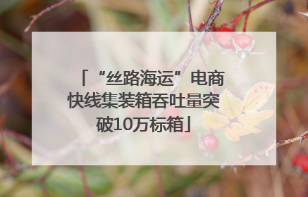 “丝路海运”电商快线集装箱吞吐量突破10万标箱
