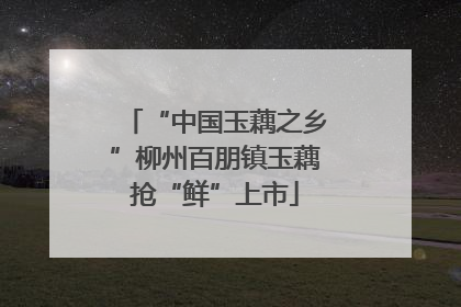 “中国玉藕之乡”柳州百朋镇玉藕抢“鲜”上市