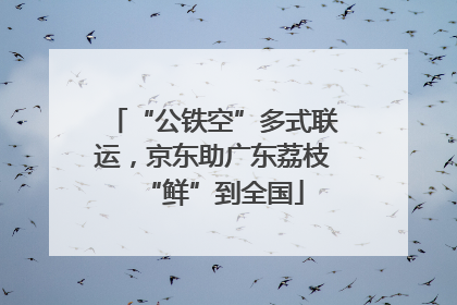 “公铁空”多式联运，京东助广东荔枝“鲜”到全国