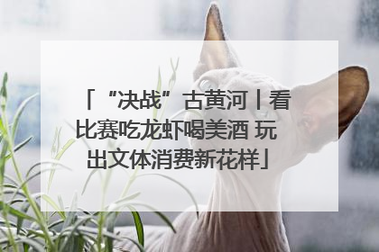“决战”古黄河丨看比赛吃龙虾喝美酒 玩出文体消费新花样