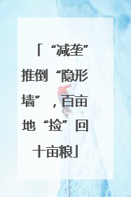 “减垄”推倒“隐形墙”，百亩地“捡”回十亩粮