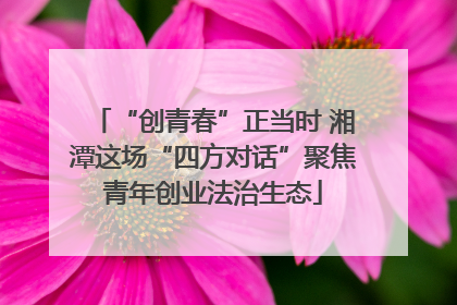 “创青春”正当时 湘潭这场“四方对话”聚焦青年创业法治生态