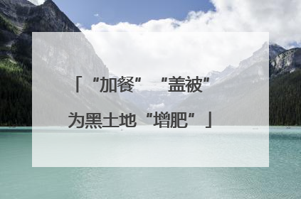 “加餐”“盖被” 为黑土地“增肥”