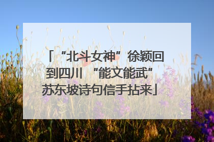 “北斗女神”徐颖回到四川 “能文能武”苏东坡诗句信手拈来