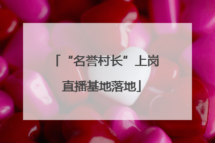 “名誉村长”上岗 直播基地落地