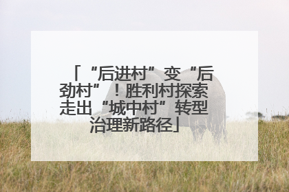 “后进村”变“后劲村”！胜利村探索走出“城中村”转型治理新路径