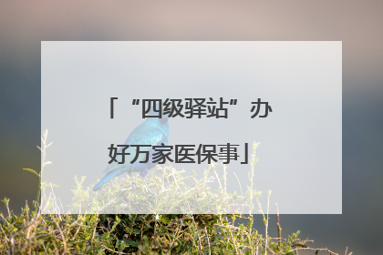 “四级驿站”办好万家医保事