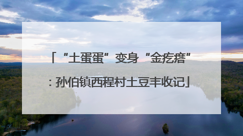 “土蛋蛋”变身“金疙瘩”：孙伯镇西程村土豆丰收记
