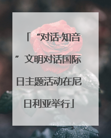 “对话·知音”文明对话国际日主题活动在尼日利亚举行