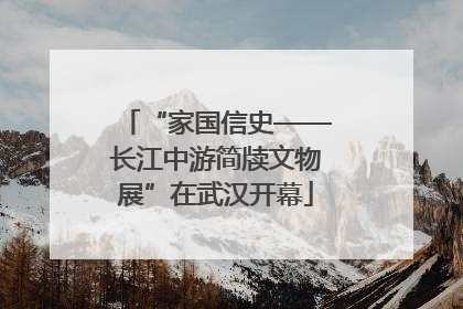 “家国信史——长江中游简牍文物展”在武汉开幕