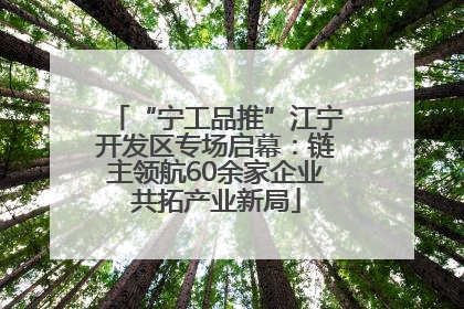 “宁工品推”江宁开发区专场启幕：链主领航60余家企业共拓产业新局