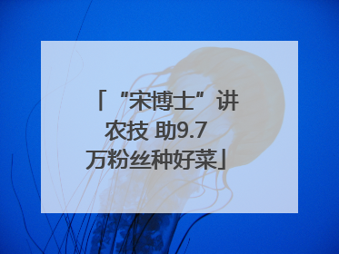 “宋博士”讲农技 助9.7万粉丝种好菜