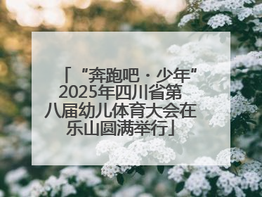 “奔跑吧・少年”2025年四川省第八届幼儿体育大会在乐山圆满举行