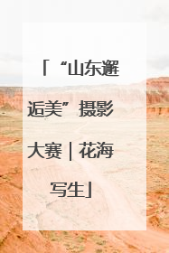 “山东邂逅美”摄影大赛｜花海写生