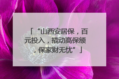 “山西安居保，百元投入，撬动高保额，保家财无忧”