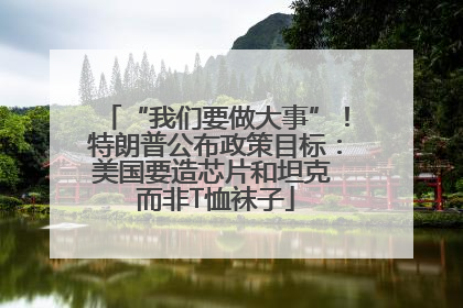“我们要做大事”！特朗普公布政策目标：美国要造芯片和坦克 而非T恤袜子