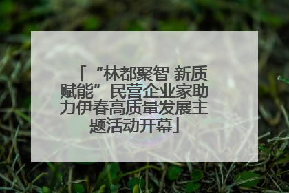 “林都聚智 新质赋能”民营企业家助力伊春高质量发展主题活动开幕