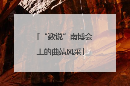 “数说”南博会上的曲靖风采