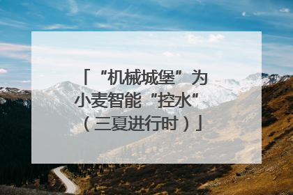 “机械城堡”为小麦智能“控水”（三夏进行时）