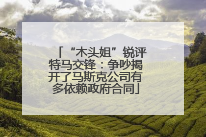 “木头姐”锐评特马交锋：争吵揭开了马斯克公司有多依赖政府合同