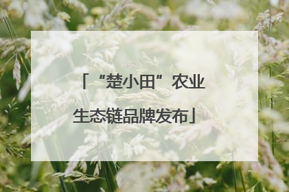 “楚小田”农业生态链品牌发布