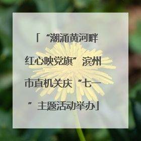 “潮涌黄河畔 红心映党旗”滨州市直机关庆“七一”主题活动举办