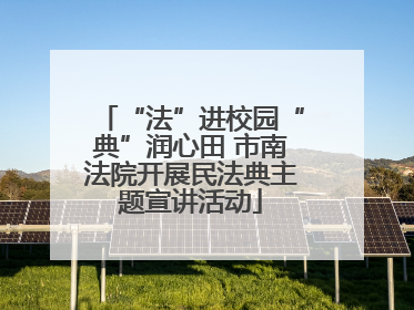 “法”进校园“典”润心田 市南法院开展民法典主题宣讲活动