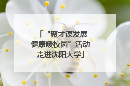 “聚才谋发展 健康暖校园”活动走进沈阳大学