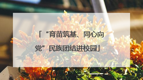 “育苗筑基、同心向党”民族团结进校园